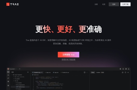TRAE编程