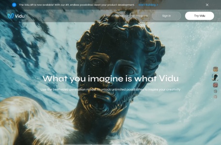 Vidu