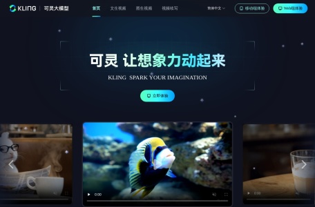 可灵大模型