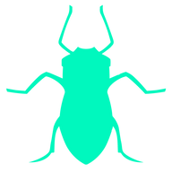 Aphid