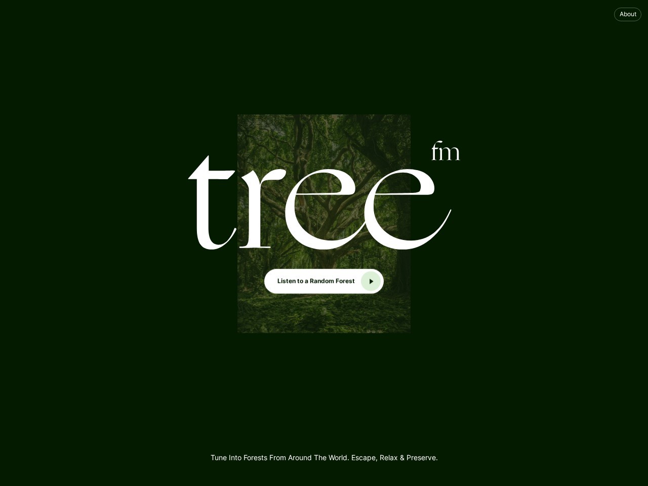森林电台Tree.FM