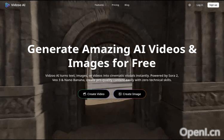 Vidzoo AI Video & Image Generator