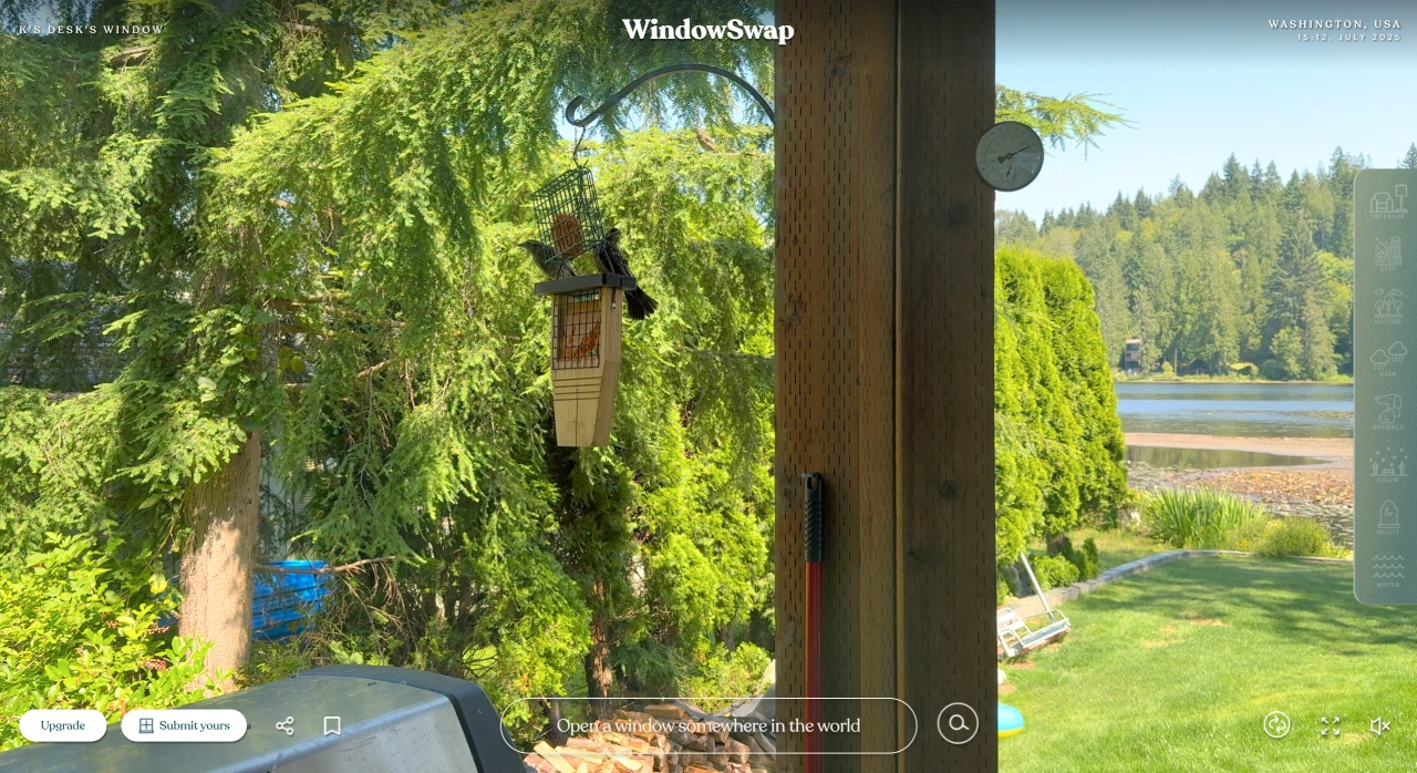 WindowSwap(图1) 20e3f1dc-e60f-4736-9fb6-252b70c9db8f.webp