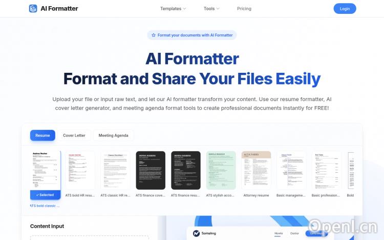 AI Formatter