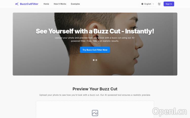 Buzz Cut Filter