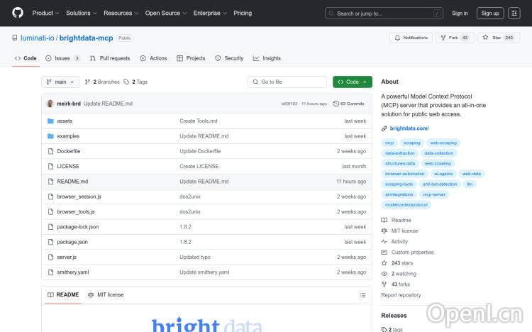 Bright Data MCP